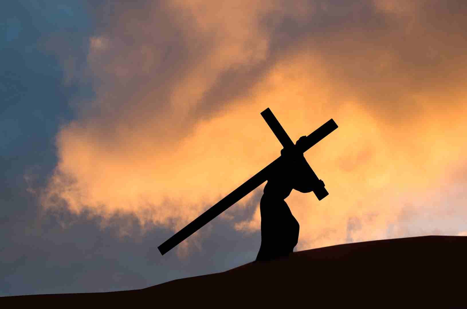 image credit wwing from Getty Images Signature via Canva Pro aspect ratio